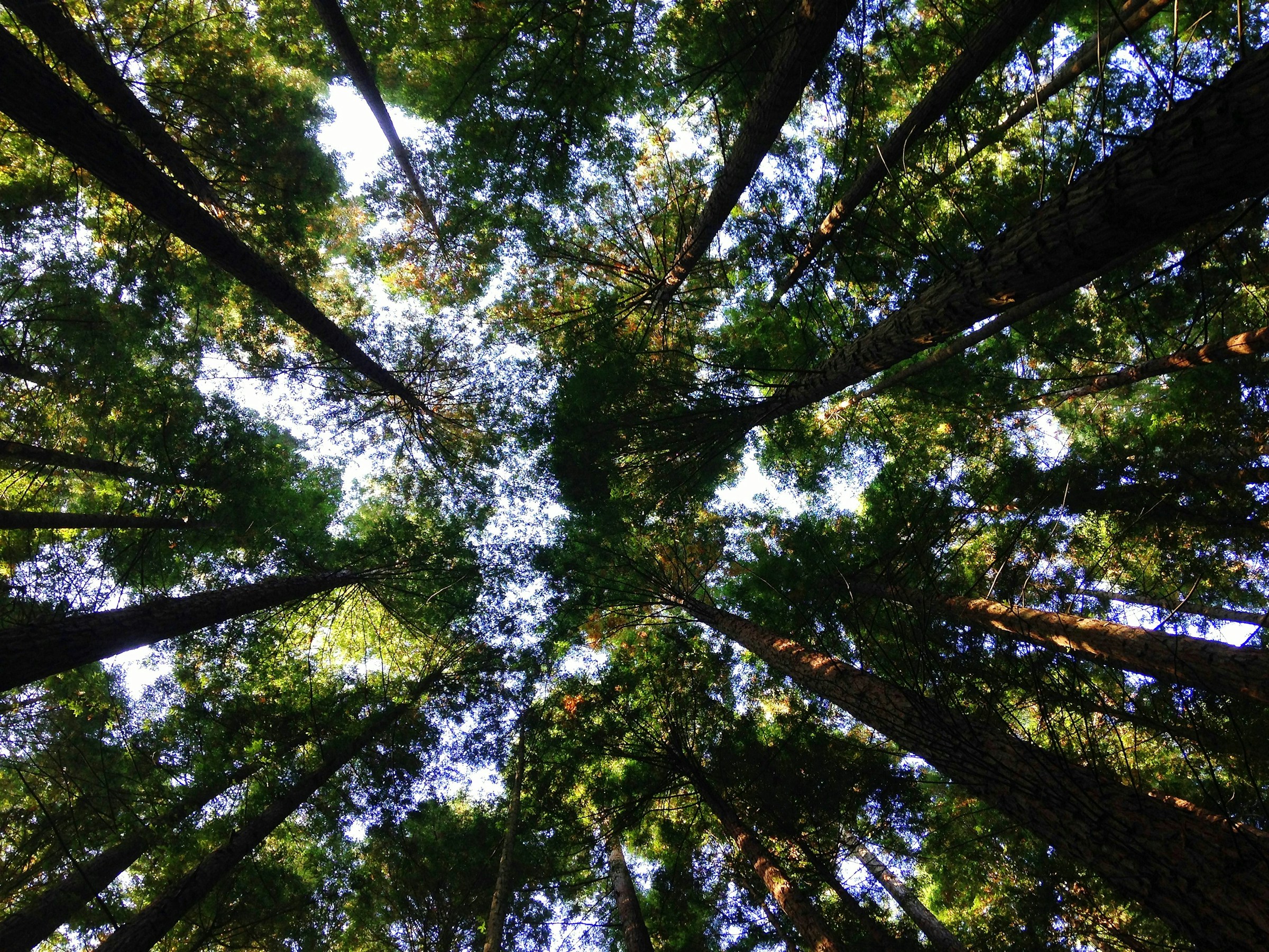 Sustainability